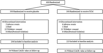 Efficacy of Co-administration of Liuwei Dihuang Pills and Ginkgo Biloba Tablets on Albuminuria in Type 2 Diabetes: A 24-Month, Multicenter, Double-Blind, Placebo-Controlled, Randomized Clinical Trial